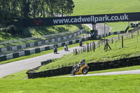 brands-hatch-photographs;brands-no-limits-trackday;cadwell-trackday-photographs;enduro-digital-images;event-digital-images;eventdigitalimages;no-limits-trackdays;peter-wileman-photography;racing-digital-images;trackday-digital-images;trackday-photos